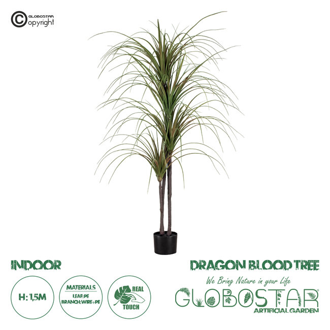 Artificial Garden DRAGON BLOOD TREE 20015 Τεχνητό Διακοσμητικό Φυτό Δράκαινα Υ150cm Artificial Garden DRAGON BLOOD TREE 20015 Τεχνητό Διακοσμητικό Φυτό Δράκαινα Υ150cm