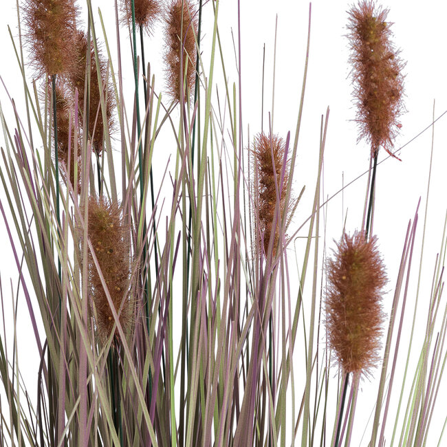 Artificial Garden BROWN LAGURUS 21099 Διακοσμητικό Φυτό Καφέ Λαγοουρά Υ70cm