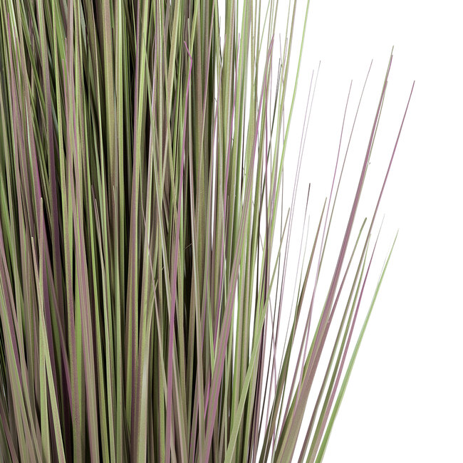 Artificial Garden BEIGE LAGURUS 21102 Διακοσμητικό Φυτό Μπεζ Λαγοουρά Υ140cm - 4