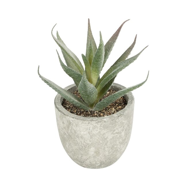 Artificial Garden SUCCULENT ALOE 21022 Τεχνητό Διακοσμητικό Φυτό Αλόη Μ6 x Π6 x Υ12cm Artificial Garden SUCCULENT ALOE 21022 Τεχνητό Διακοσμητικό Φυτό Αλόη Μ6 x Π6 x Υ12cm