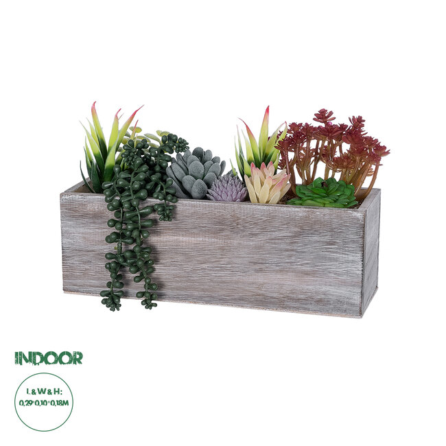Artificial Garden SUCCULENT VARIUS PLANT POTTED 21033 Διακοσμητικό Φυτό Μίξ Μ29 x Π10 x Υ18cm Artificial Garden SUCCULENT VARIUS PLANT POTTED 21033 Διακοσμητικό Φυτό Μίξ Μ29 x Π10 x Υ18cm
