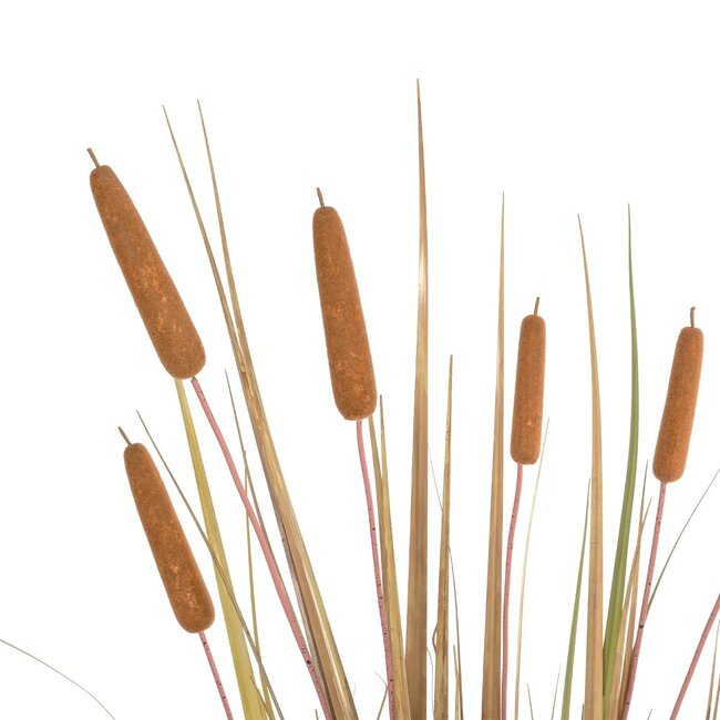 Artificial Garden TYPHA GRASS 21483 Τεχνητό Διακοσμητικό Φυτό Γρασίδι της Τύφας Μ70 x Π40 x Υ150cm