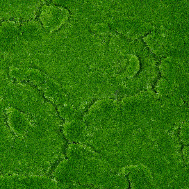 Artificial Garden BRYOPHYTA 20145 Τεχνητό Διακοσμητικό Πάνελ Φυλλωσιάς - Κάθετος Κήπος Βρύα Μ100 x Π100 x Υ3cm - 5