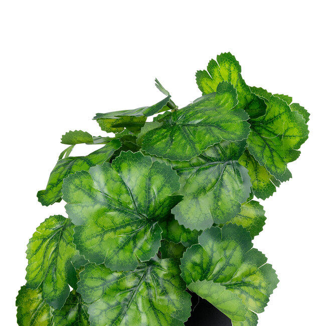 Artificial Garden GREEN BEGONIA PLANT 20949 Διακοσμητικό Φυτό Πράσινη Μπιγόνια Φ23 x Υ16cm Artificial Garden GREEN BEGONIA PLANT 20949 Διακοσμητικό Φυτό Πράσινη Μπιγόνια Φ23 x Υ16cm