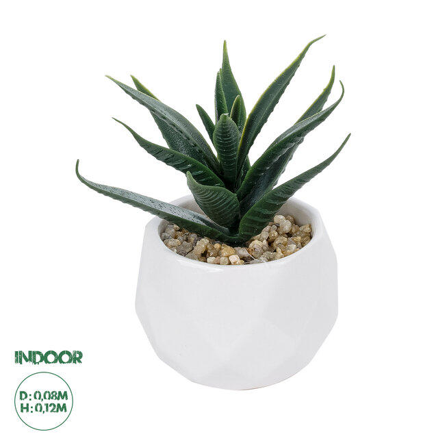 Artificial Garden SUCCULENT ALOE POTTED PLANT 20992 Διακοσμητικό Φυτό Αλόη Φ8 x Υ12cm Artificial Garden SUCCULENT ALOE POTTED PLANT 20992 Διακοσμητικό Φυτό Αλόη Φ8 x Υ12cm