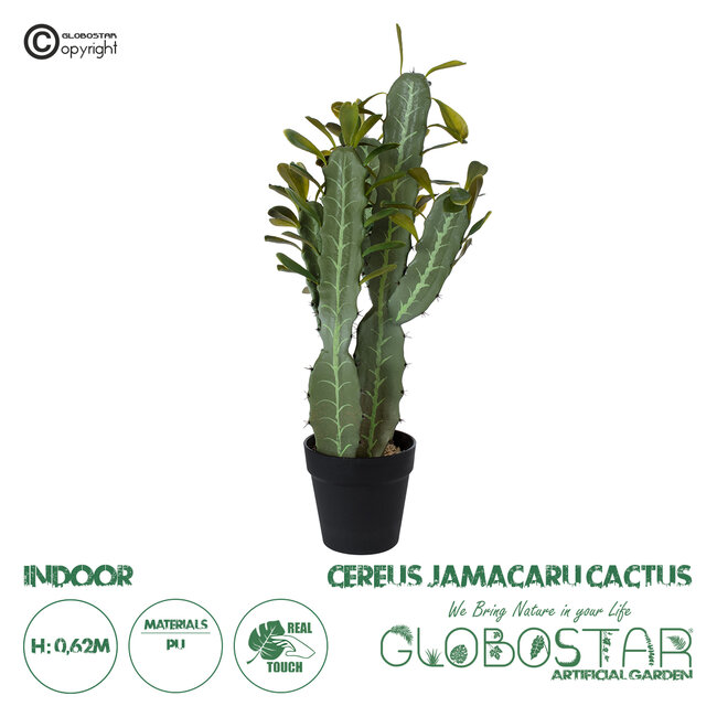 Artificial Garden CEREUS JAMACARU CACTUS 20102 Τεχνητό Διακοσμητικό Φυτό Κάκτος Κηρίος Υ62cm Artificial Garden CEREUS JAMACARU CACTUS 20102 Τεχνητό Διακοσμητικό Φυτό Κάκτος Κηρίος Υ62cm