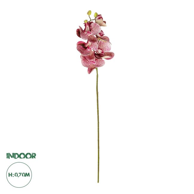 Artificial Garden  PINK ORCHID  BRANCH 21412 Τεχνητό Διακοσμητικό Κλαδί Ροζ Ορχιδέα Y70cm