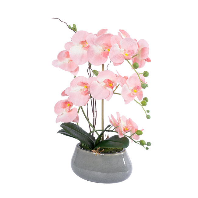 Artificial Garden SALMON PINK ORCHID 21122 Διακοσμητικό Φυτό Ροζ-Πορτοκαλί Ορχιδέα Υ43cm Artificial Garden SALMON PINK ORCHID 21122 Διακοσμητικό Φυτό Ροζ-Πορτοκαλί Ορχιδέα Υ43cm