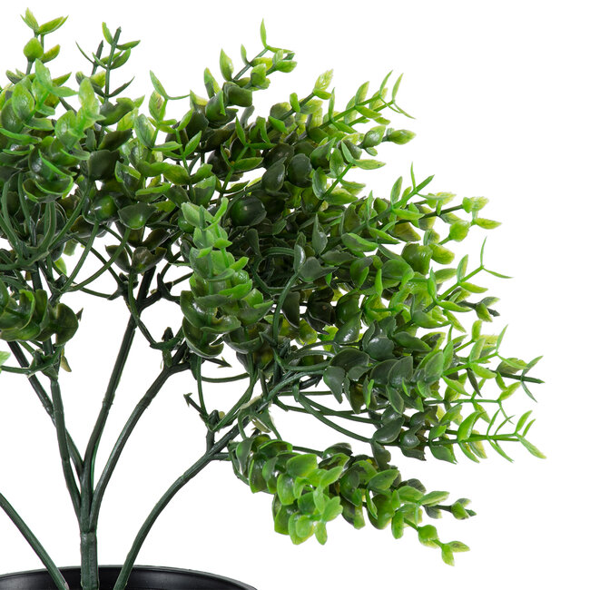 Artificial Garden EUCALYPTUS 20392 Τεχνητό Διακοσμητικό Φυτό Ευκάλυπτος Υ30cm Artificial Garden EUCALYPTUS 20392 Τεχνητό Διακοσμητικό Φυτό Ευκάλυπτος Υ30cm
