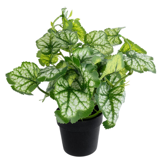 Artificial Garden BEGONIA PLANT 20958 Διακοσμητικό Φυτό Βιγόνια Φ47 x Υ22cm - 4