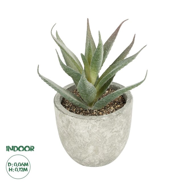 Artificial Garden SUCCULENT ALOE 21022 Τεχνητό Διακοσμητικό Φυτό Αλόη Μ6 x Π6 x Υ12cm Artificial Garden SUCCULENT ALOE 21022 Τεχνητό Διακοσμητικό Φυτό Αλόη Μ6 x Π6 x Υ12cm