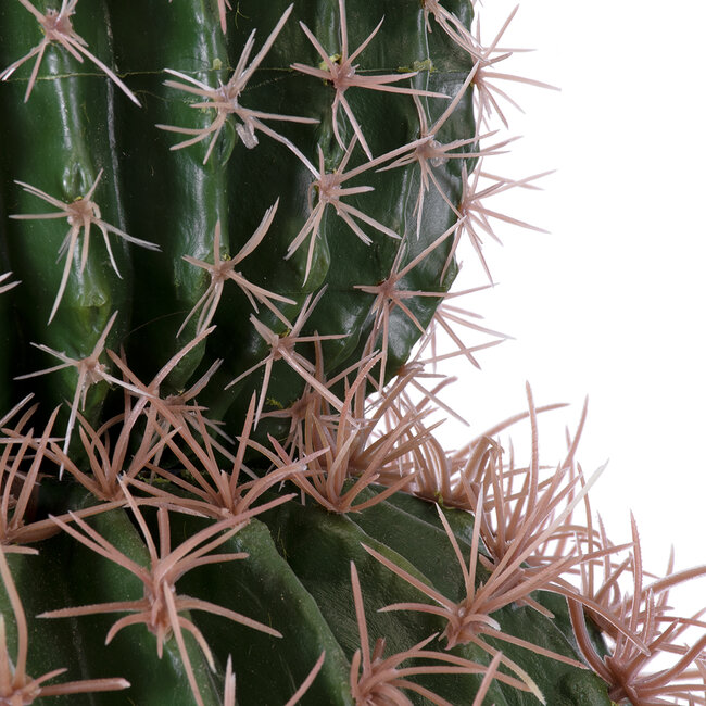 Artificial Garden FEROCACTUS 20136 Τεχνητό Διακοσμητικό Φυτό Φερόκακτος Υ55cm Artificial Garden FEROCACTUS 20136 Τεχνητό Διακοσμητικό Φυτό Φερόκακτος Υ55cm