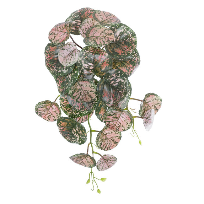 Artificial Garden POLKA HANGING PLANT 20612 Τεχνητό Διακοσμητικό Κρεμαστό Φυτό Πόλκα Υ45cm Artificial Garden POLKA HANGING PLANT 20612 Τεχνητό Διακοσμητικό Κρεμαστό Φυτό Πόλκα Υ45cm
