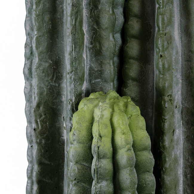 Artificial Garden CARNEGIEA CACTUS 20122 Τεχνητό Διακοσμητικό Φυτό Κάκτος Σαγκουάρο Υ150cm Artificial Garden CARNEGIEA CACTUS 20122 Τεχνητό Διακοσμητικό Φυτό Κάκτος Σαγκουάρο Υ150cm
