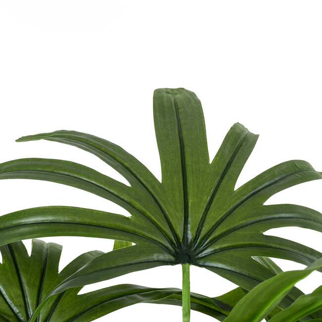 Artificial Garden BROADLEAF LADY PALM TREE 20386 Τεχνητό Διακοσμητικό Φυτό Πλατύφυλλος Φοίνικας Μπαμπού Υ120cm - 3