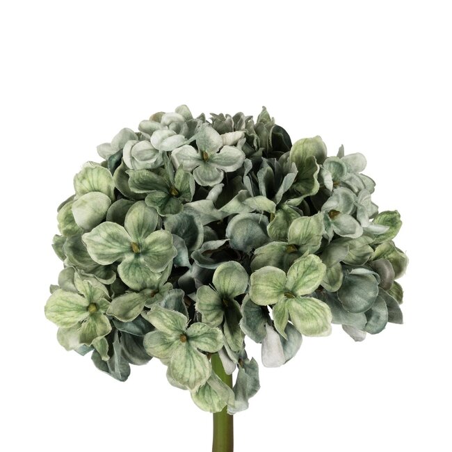 Artificial Garden GREEN HYDRANGEA BRANCH 21316 Τεχνητό Διακοσμητικό Κλαδί Πράσινη Ορτανσία Y47cm