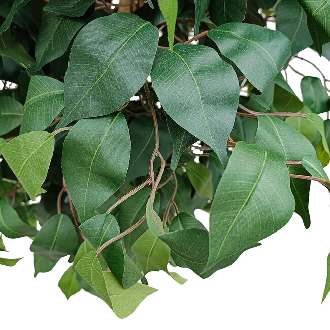 Artificial Garden FICUS BENJAMINA TREE 20431 Τεχνητό Διακοσμητικό Φυτό Φίκος Μπενζαμίνη Υ210cm - 3