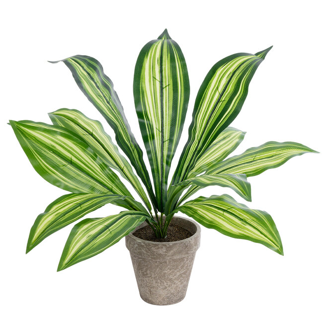 Artificial Garden  DRACAENA POTTED PLANT 20907 Διακοσμητικό Φυτό Δράκενα Φ40 x Υ33cm - 2