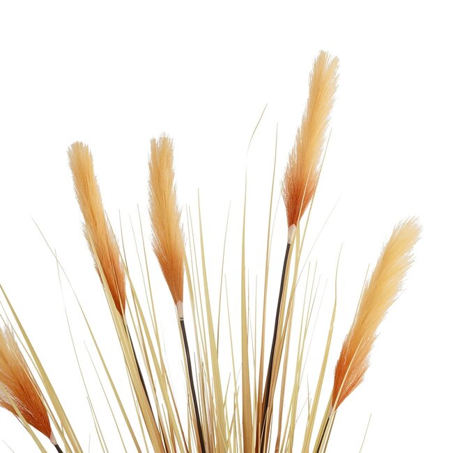 Artificial Garden PAMPAS GRASS 21476 Τεχνητό Διακοσμητικό Φυτό Μπεζ Πάμπας Μ90 x Π40 x Υ150cm - 3