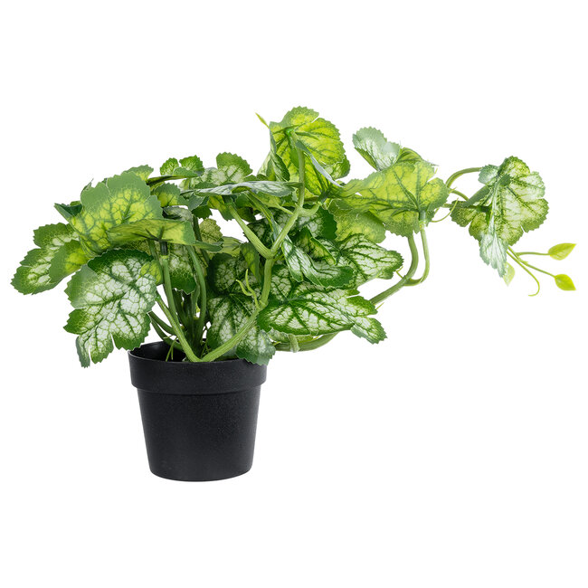 Artificial Garden BEGONIA PLANT 20958 Διακοσμητικό Φυτό Βιγόνια Φ47 x Υ22cm Artificial Garden BEGONIA PLANT 20958 Διακοσμητικό Φυτό Βιγόνια Φ47 x Υ22cm