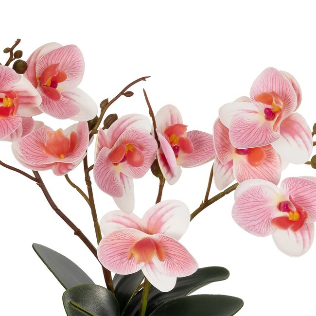 Artificial Garden PINK ORCHID 21075 Διακοσμητικό Φυτό Ροζ Ορχιδέα  Υ30cm