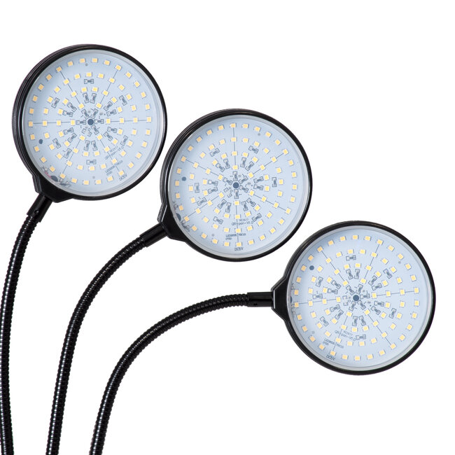 79653 Grow Light Hydro Spectrum LED Φωτιστικό Ανάπτυξης Υδροπονικών Φυτών Γλάστρας με 3 Κινούμενες Κεφαλές & Βάση Clip SMD 2835 15W 160° DC 5V IP20 με Dimmer & Timer Εσωτερικού Χώρου για Κάλυψη Επιφάνειας 1m x 1m Πλήρους Φάσματος Φωτισμού - 7