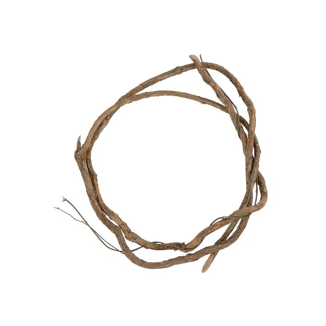 Artificial Garden DRY VINE 21067 Τεχνητό Διακοσμητικό Κλαδί Ξηρό Αμπέλι Μ8 x Π8 x Υ180cm - Σετ 10 τμχ