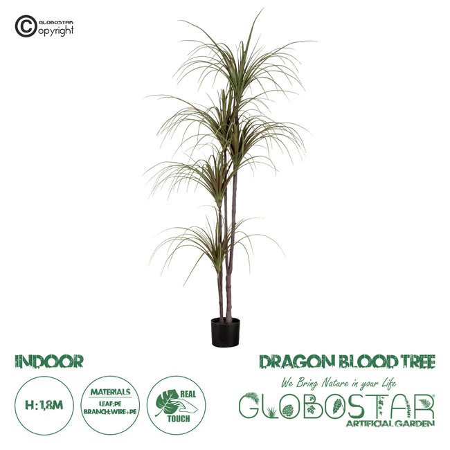 Artificial Garden DRAGON BLOOD TREE 20016 Τεχνητό Διακοσμητικό Φυτό Δράκαινα Υ180cm Artificial Garden DRAGON BLOOD TREE 20016 Τεχνητό Διακοσμητικό Φυτό Δράκαινα Υ180cm