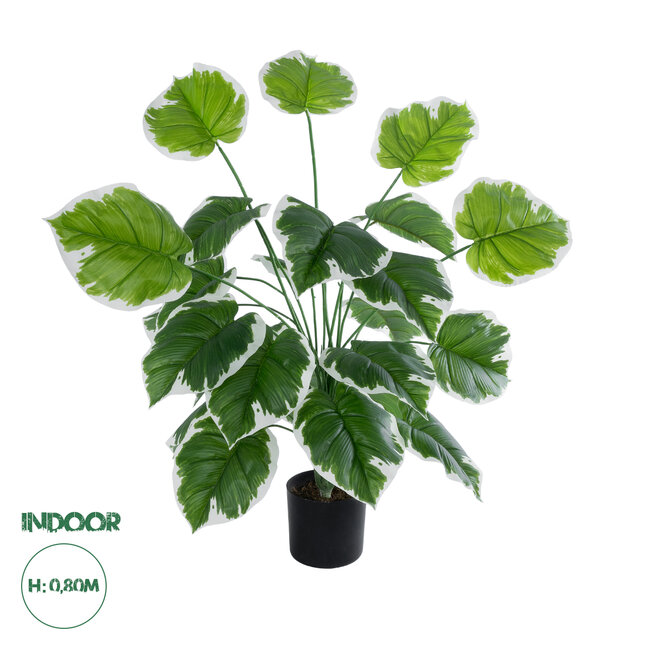 Artificial Garden WHITE HOSTA 20920 Διακοσμητικό Φυτό Λευκή Χόστα Υ80cm