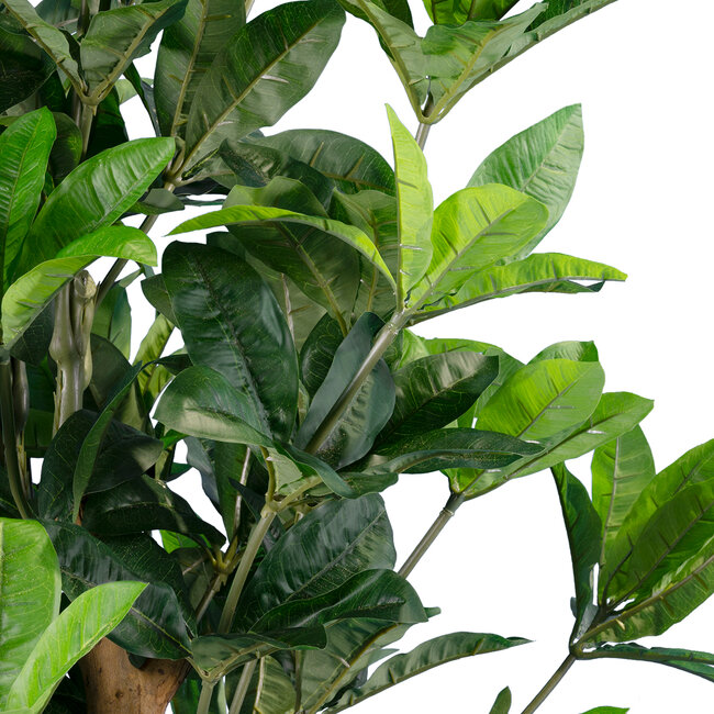 Artificial Garden FORTUNE GUIANA TREE 20056 Τεχνητό Διακοσμητικό Φυτό Καστανιά του Μαλαμπάρ Υ160cm