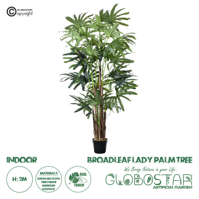 Artificial Garden BROADLEAF LADY PALM TREE 20385 Τεχνητό Διακοσμητικό Φυτό Πλατύφυλλος Φοίνικας Μπαμπού Υ200cm