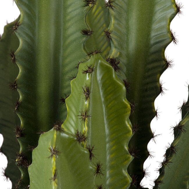 Artificial Garden CEREUS JAMACARU CACTUS 20099 Τεχνητό Διακοσμητικό Φυτό Κάκτος Κηρίος Υ66cm Artificial Garden CEREUS JAMACARU CACTUS 20099 Τεχνητό Διακοσμητικό Φυτό Κάκτος Κηρίος Υ66cm