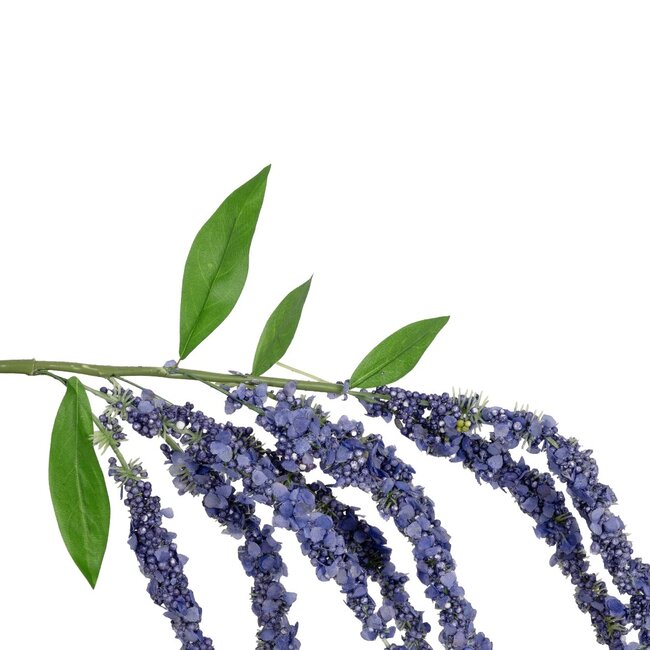 Artificial Garden PURPLE AMARANTHUS FRUIT BRANCH 21452 Τεχνητό Διακοσμητικό Κλαδί Μωβ Αμάρανθος Y80cm