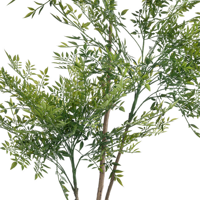 Artificial Garden GREEN NANDINA PLANT 20965 Διακοσμητικό Φυτό Πράσινη Ναντίνα Φ66 x Υ150cm - 3