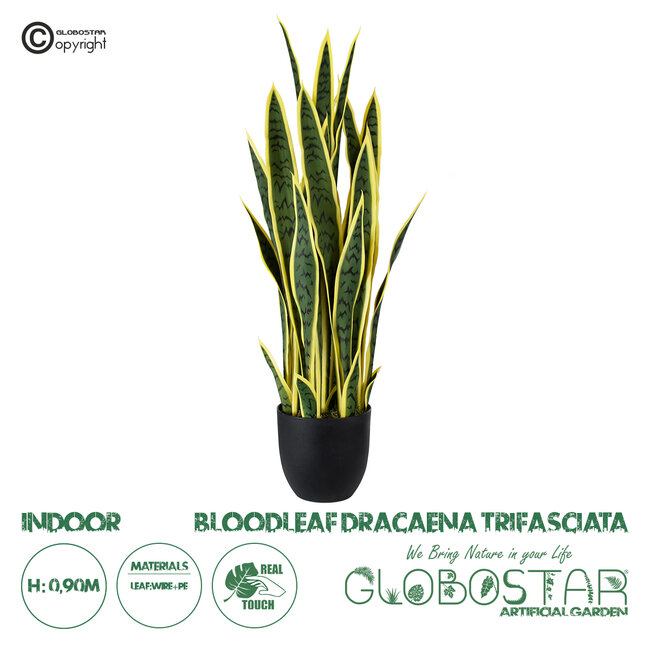 Artificial Garden BLOODLEAF DRACAENA TRIFASCIATA 20061 Τεχνητό Διακοσμητικό Φυτό Αιματόφυλλη Σανσεβιέρια Υ90cm Artificial Garden BLOODLEAF DRACAENA TRIFASCIATA 20061 Τεχνητό Διακοσμητικό Φυτό Αιματόφυλλη Σανσεβιέρια Υ90cm
