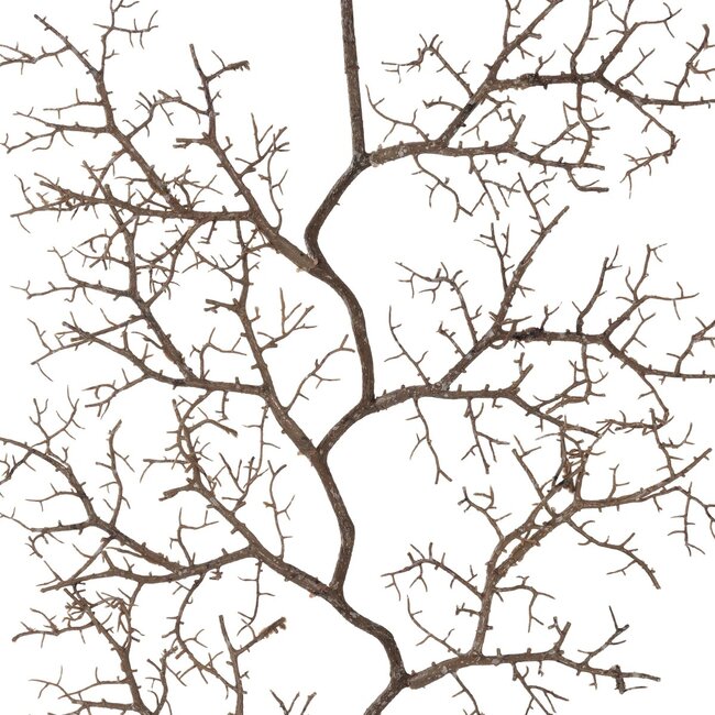 Artificial Garden SMALL CORAL 21463 Τεχνητό Διακοσμητικό Κλαδί Καφέ Μ40 x Π7 x Υ142cm