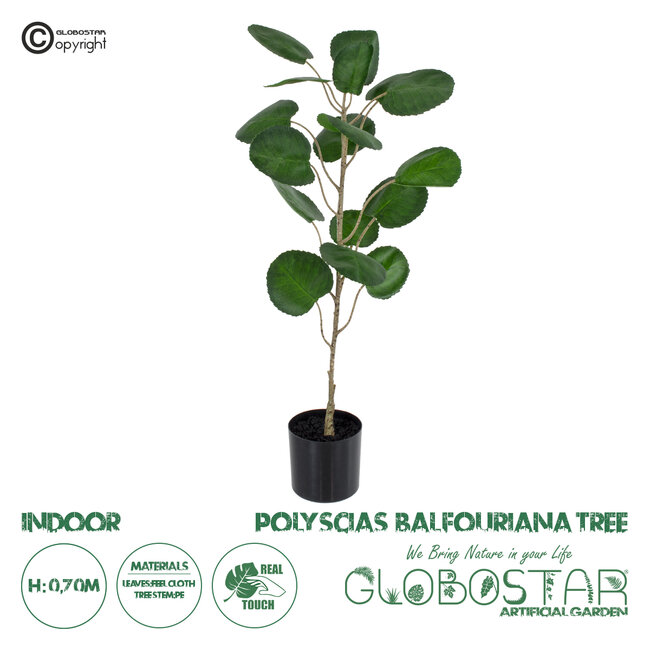 Artificial Garden POLYSCIAS BALFOURIANA TREE 20373 Τεχνητό Διακοσμητικό Φυτό Πολυσκιά Υ70cm Artificial Garden POLYSCIAS BALFOURIANA TREE 20373 Τεχνητό Διακοσμητικό Φυτό Πολυσκιά Υ70cm