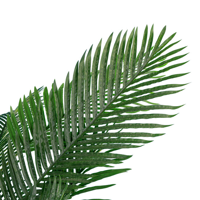Artificial Garden ARECA PALM TREE 20013 Τεχνητό Διακοσμητικό Φυτό Φοινικόδεντρο Αρέκα Υ210cm Artificial Garden ARECA PALM TREE 20013 Τεχνητό Διακοσμητικό Φυτό Φοινικόδεντρο Αρέκα Υ210cm
