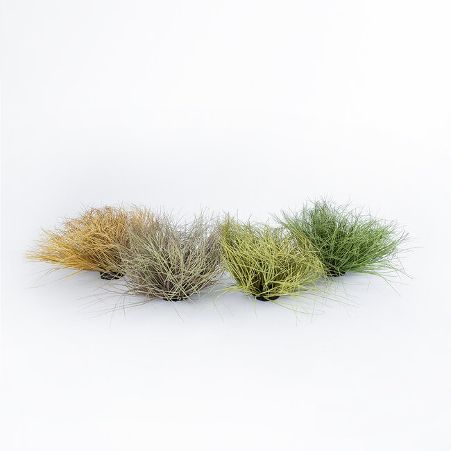 Artificial Garden GRASS BUSH PLANT 21168 Τεχνητό Διακοσμητικό Φυτό Θάμνος Grass Π50cm Y30cm - 4