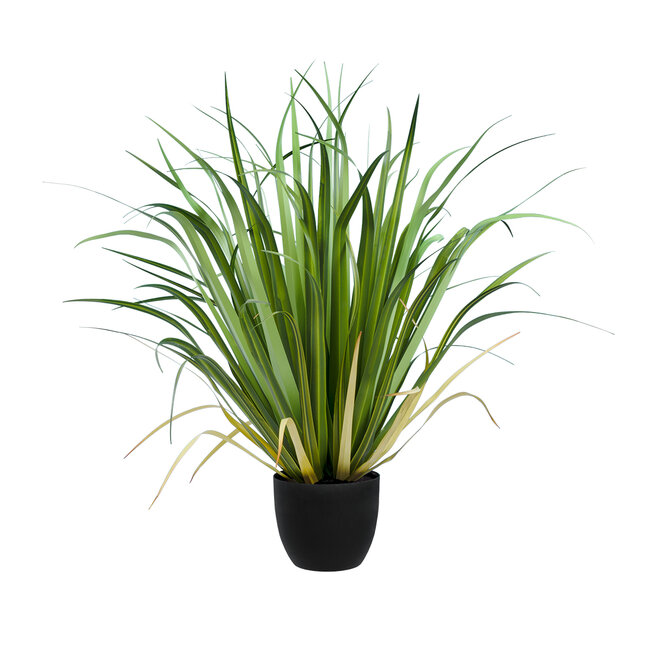 Artificial Garden ACORUS GRAMINEUS 20103 Τεχνητό Διακοσμητικό Φυτό Άκορος Υ90cm Artificial Garden ACORUS GRAMINEUS 20103 Τεχνητό Διακοσμητικό Φυτό Άκορος Υ90cm