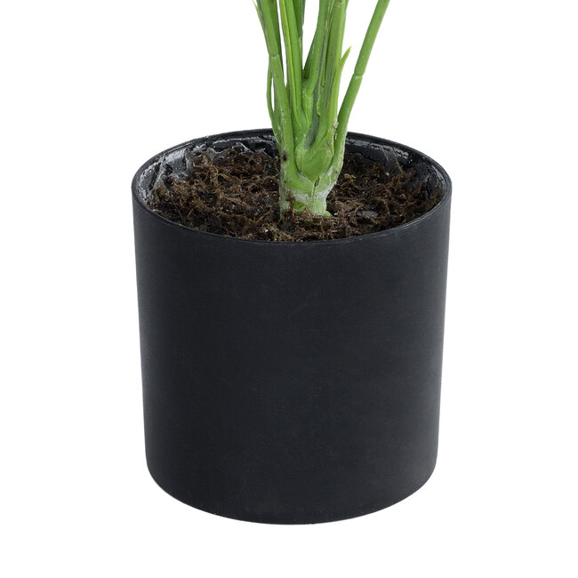 Artificial Garden BANANA ZEBRA 20930 Διακοσμητικό Φυτό Μπανανιά Ζέβρα Υ55cm - 4