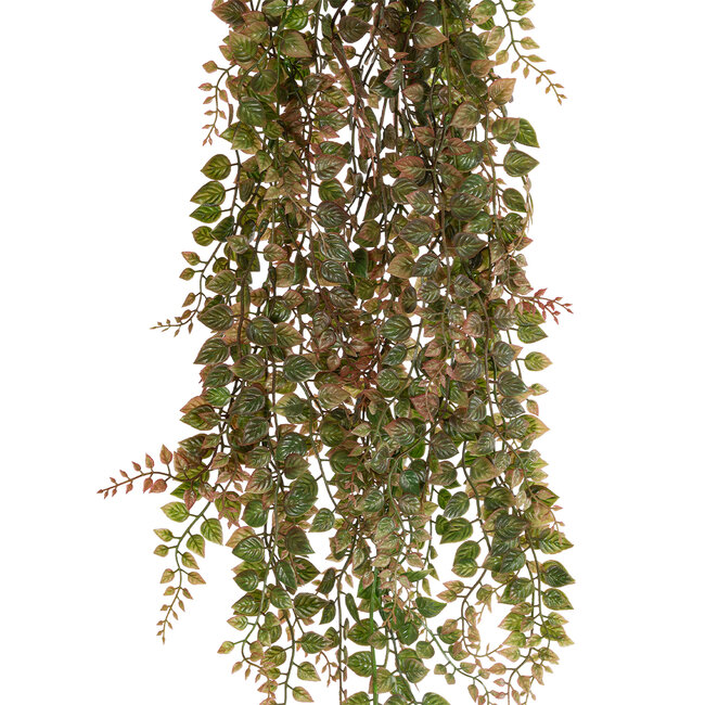 Artificial Garden HANGING ADIANTUM 20839 Τεχνητό Διακοσμητικό Κρεμαστό Κλαδί Αδίαντο Μ20 x Π6 x Υ90cm Artificial Garden HANGING ADIANTUM 20839 Τεχνητό Διακοσμητικό Κρεμαστό Κλαδί Αδίαντο Μ20 x Π6 x Υ90cm