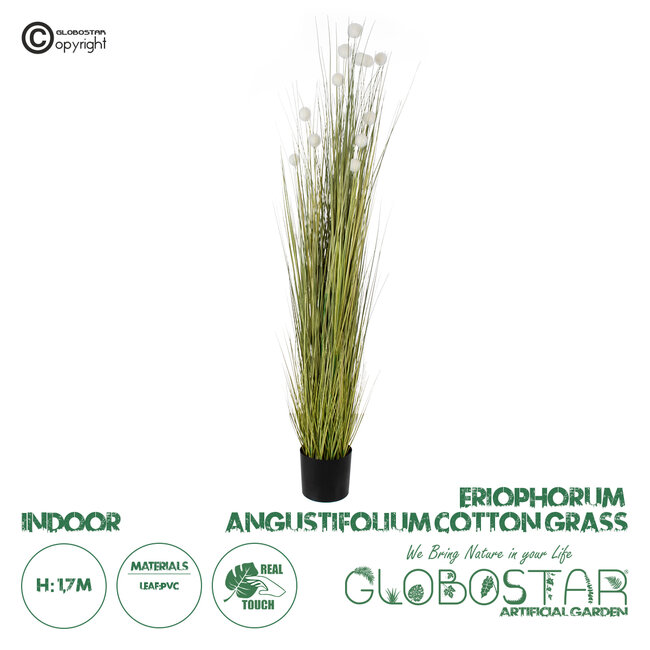 Artificial Garden ERIOPHORUM ANGUSTIFOLIUM COTTON GRASS 20074 Τεχνητό Διακοσμητικό Φυτό Γρασίδι του Βαμβακιού Υ170cm