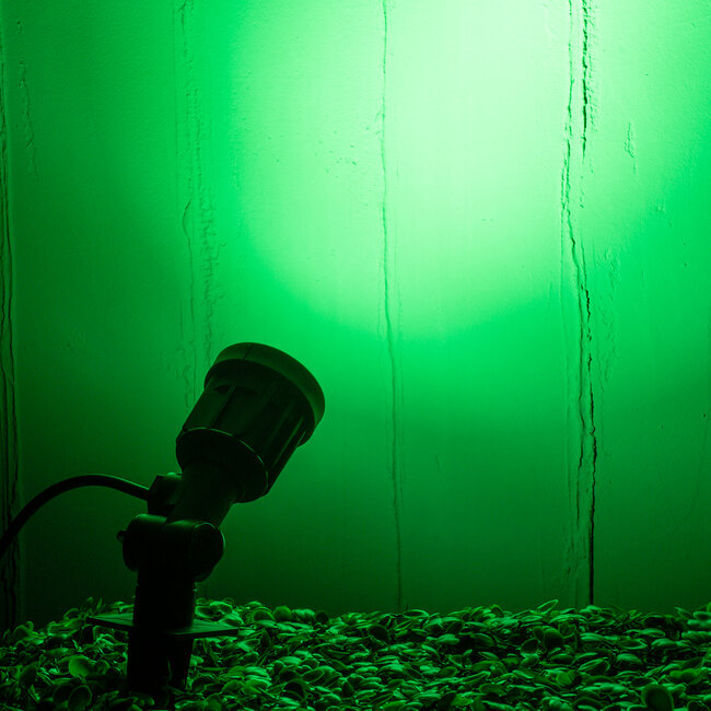 GARDENINI 61544 Καρφωτό Φωτιστικό Σποτ Κήπου LED 5W 550lm 38° DC 24V IP68 Υψηλής Αντοχής ABS IK06 Φ5.5 x Υ13.5cm - Πράσινο 550nm Dimmable - Μαύρο - Bridgelux Chip - 3 Years Warranty - 10