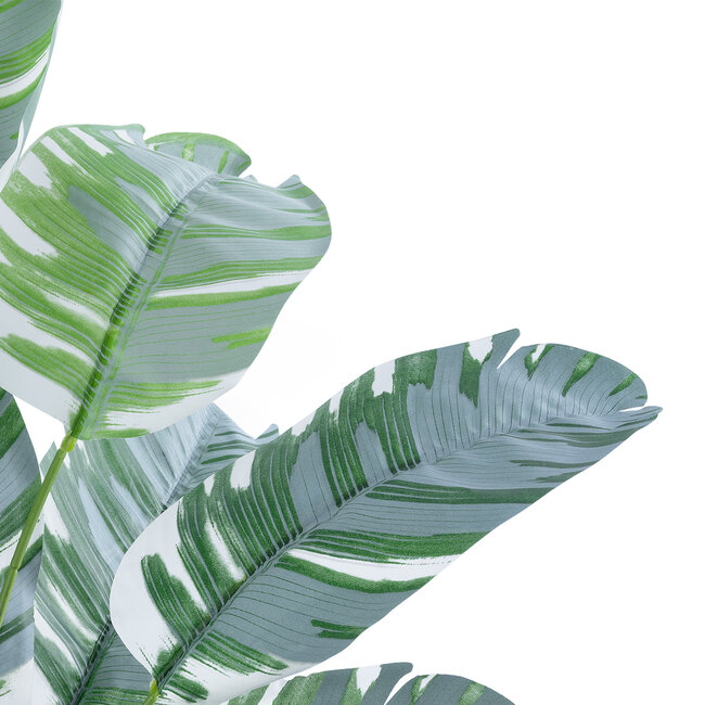 Artificial Garden BANANA ZEBRA 20930 Διακοσμητικό Φυτό Μπανανιά Ζέβρα Υ55cm
