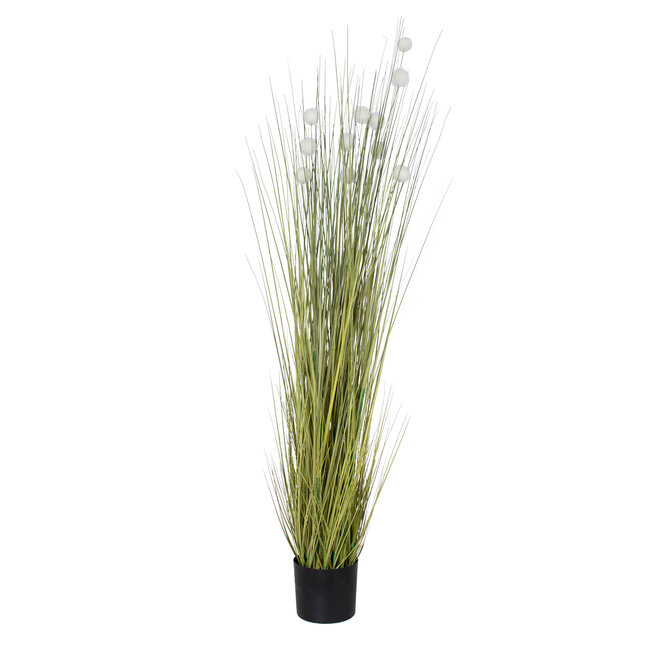 Artificial Garden ERIOPHORUM ANGUSTIFOLIUM COTTON GRASS 20073 Τεχνητό Διακοσμητικό Φυτό Γρασίδι του Βαμβακιού Υ150cm Artificial Garden ERIOPHORUM ANGUSTIFOLIUM COTTON GRASS 20073 Τεχνητό Διακοσμητικό Φυτό Γρασίδι του Βαμβακιού Υ150cm