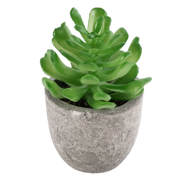 Artificial Garden SUCCULENT CRASSULA 21014 Διακοσμητικό Φυτό Παχύφυτο Κράσουλα Υ11.5cm Artificial Garden SUCCULENT CRASSULA 21014 Διακοσμητικό Φυτό Παχύφυτο Κράσουλα Υ11.5cm