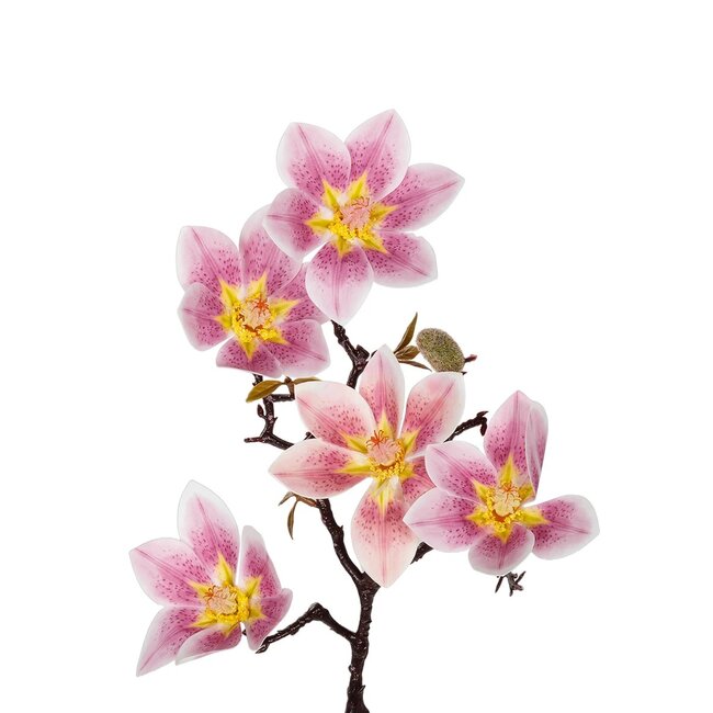 Artificial Garden PING MAGNOLIA BRANCH 21424 Τεχνητό Διακοσμητικό Κλαδί Ροζ Μαγνόλια Y57cm