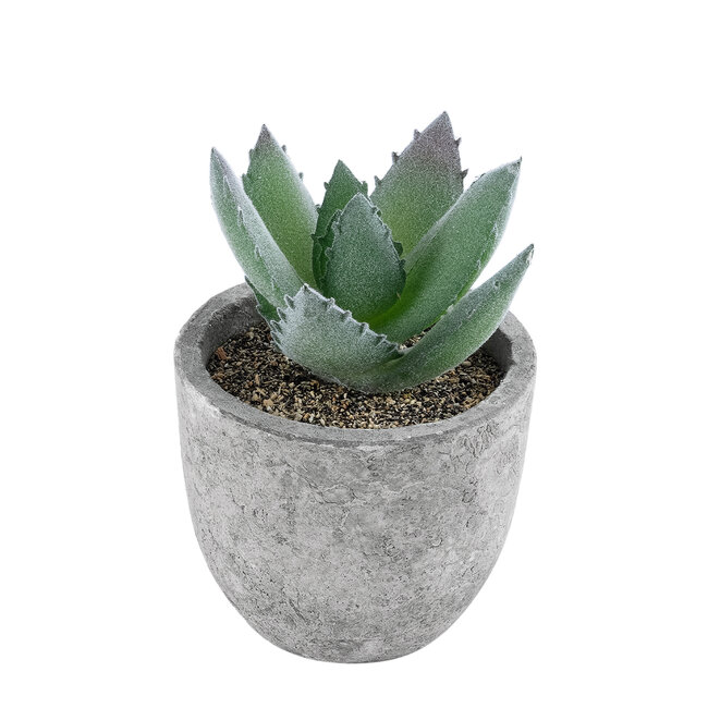 Artificial Garden SUCCULENT ALOE 21026 Διακοσμητικό Φυτό Παχύφυτο Αλόη Υ10.5cm - 2