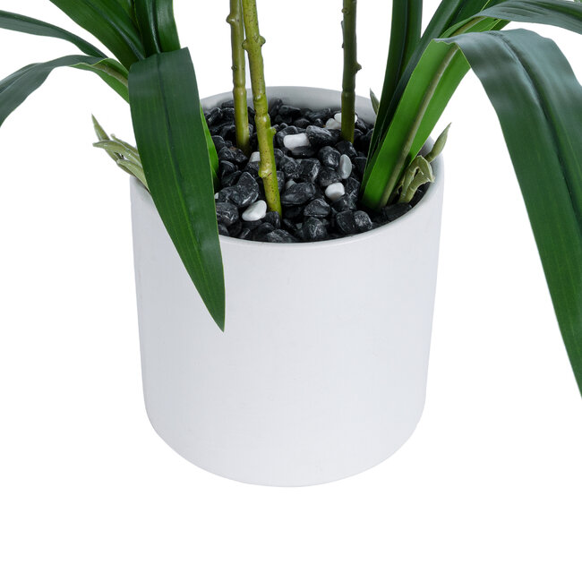 Artificial Garden CHAMPAGNE CHERRY CYMBIDIUM 21404 Διακοσμητικό Φυτό Σαμπανιζέ Κυμβίδιο Υ60cm - 4